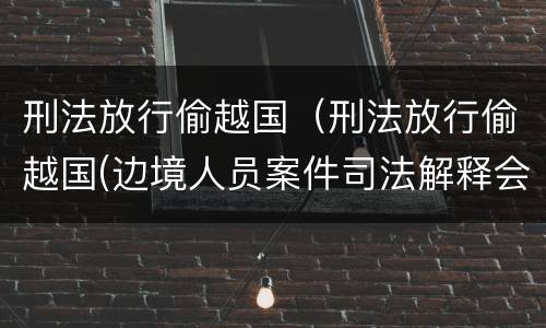 刑法放行偷越国（刑法放行偷越国(边境人员案件司法解释会如何规定）