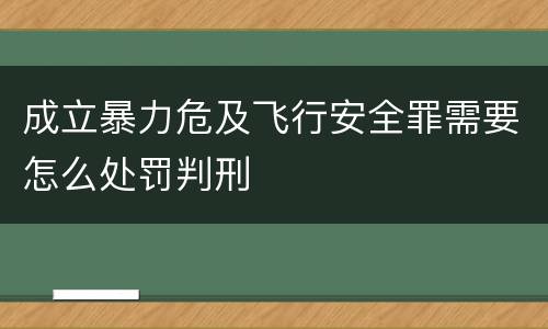 成立暴力危及飞行安全罪需要怎么处罚判刑