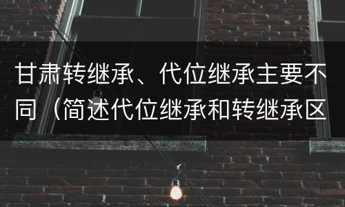甘肃转继承、代位继承主要不同（简述代位继承和转继承区别）