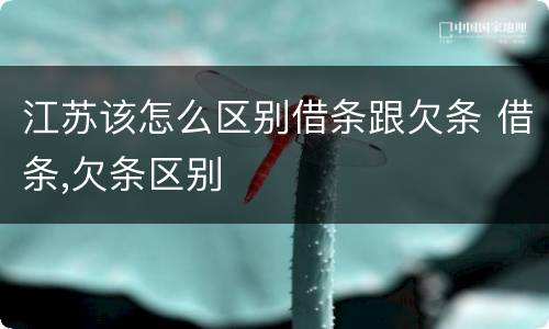江苏该怎么区别借条跟欠条 借条,欠条区别