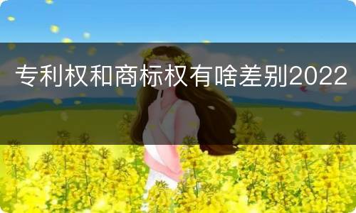 专利权和商标权有啥差别2022