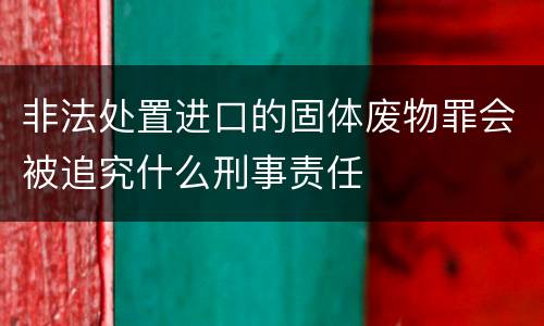 非法处置进口的固体废物罪会被追究什么刑事责任