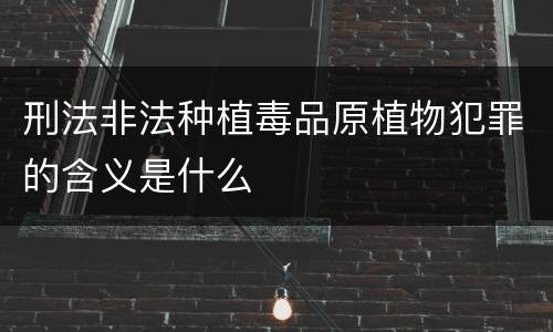 刑法非法种植毒品原植物犯罪的含义是什么