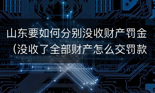 山东要如何分别没收财产罚金（没收了全部财产怎么交罚款）