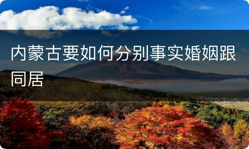 内蒙古要如何分别事实婚姻跟同居