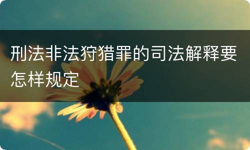 刑法非法狩猎罪的司法解释要怎样规定