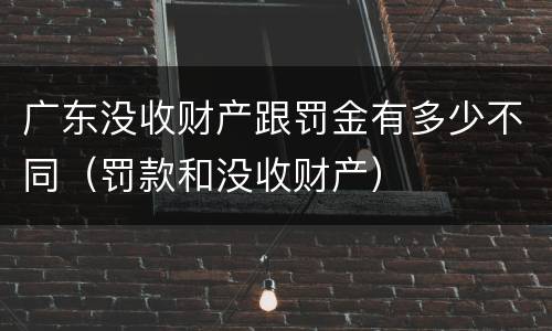广东没收财产跟罚金有多少不同（罚款和没收财产）