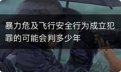 暴力危及飞行安全行为成立犯罪的可能会判多少年