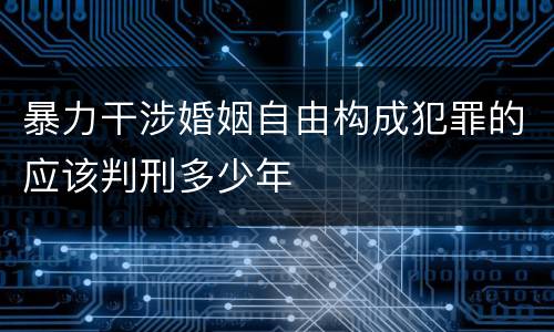 暴力干涉婚姻自由构成犯罪的应该判刑多少年