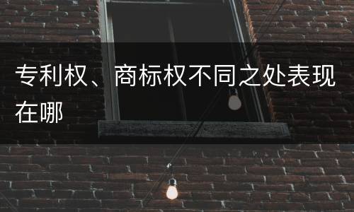 专利权、商标权不同之处表现在哪