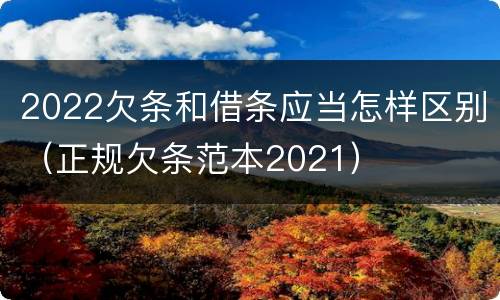 2022欠条和借条应当怎样区别（正规欠条范本2021）