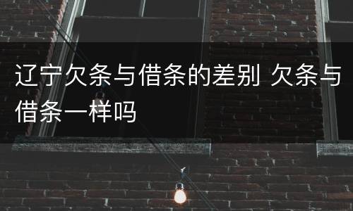 辽宁欠条与借条的差别 欠条与借条一样吗