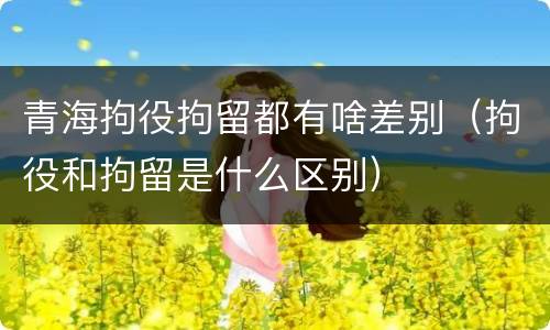 青海拘役拘留都有啥差别（拘役和拘留是什么区别）
