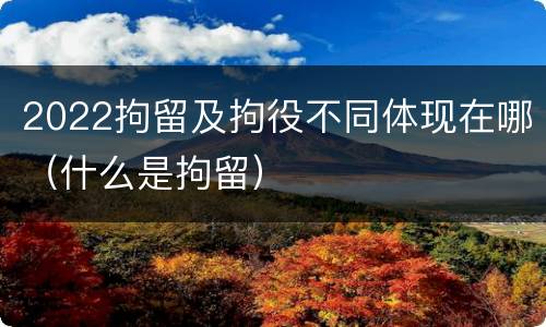2022拘留及拘役不同体现在哪（什么是拘留）
