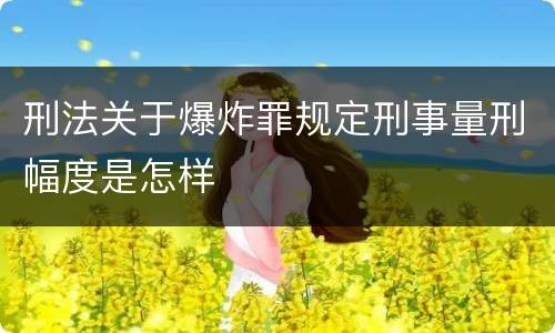 刑法关于爆炸罪规定刑事量刑幅度是怎样