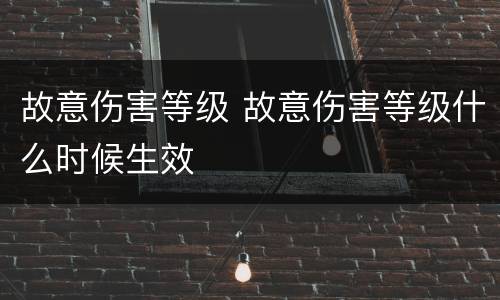 故意伤害等级 故意伤害等级什么时候生效