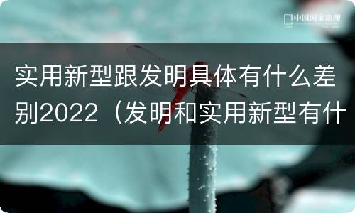 实用新型跟发明具体有什么差别2022（发明和实用新型有什么区别）