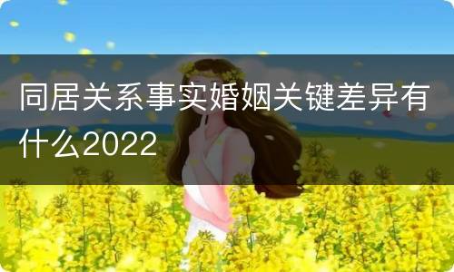 同居关系事实婚姻关键差异有什么2022