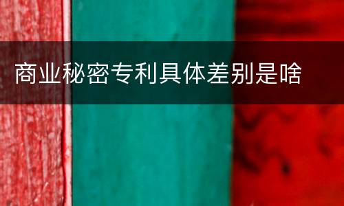 商业秘密专利具体差别是啥