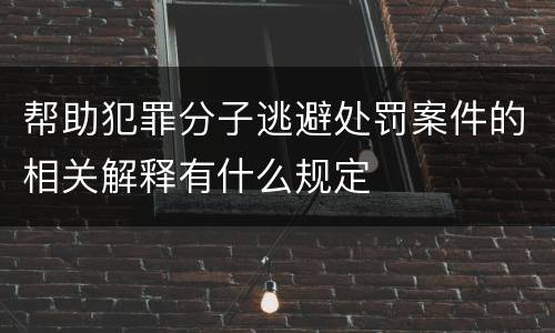 帮助犯罪分子逃避处罚案件的相关解释有什么规定
