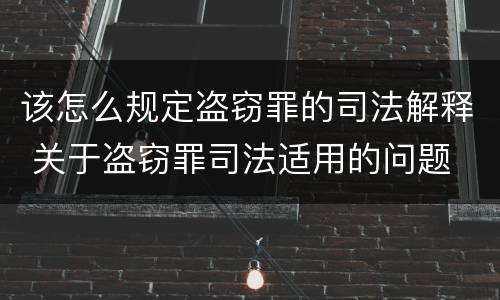 该怎么规定盗窃罪的司法解释 关于盗窃罪司法适用的问题