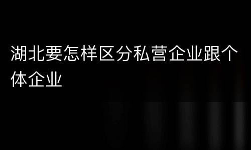 湖北要怎样区分私营企业跟个体企业