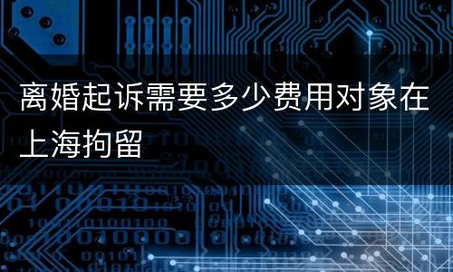 离婚起诉需要多少费用对象在上海拘留