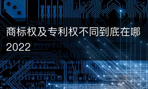 商标权及专利权不同到底在哪2022