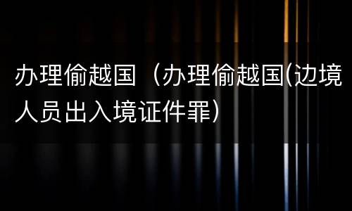 办理偷越国(办理偷越国(边境人员出入境证件罪)