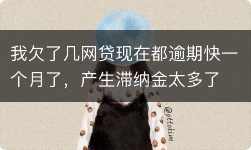 我欠了几网贷现在都逾期快一个月了，产生滞纳金太多了