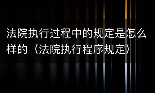 法院执行过程中的规定是怎么样的（法院执行程序规定）