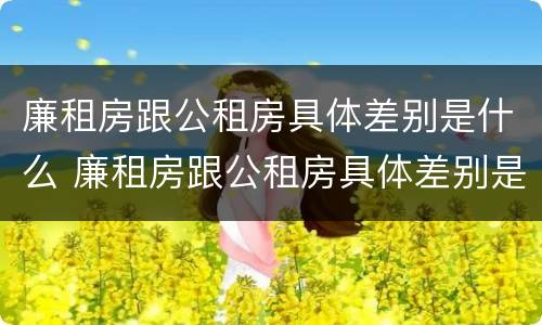 廉租房跟公租房具体差别是什么 廉租房跟公租房具体差别是什么呢