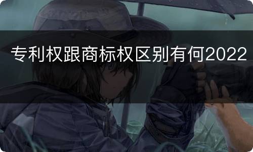 专利权跟商标权区别有何2022