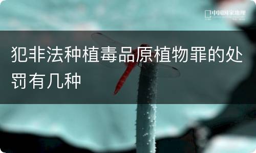 犯非法种植毒品原植物罪的处罚有几种