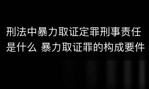 刑法中暴力取证定罪刑事责任是什么 暴力取证罪的构成要件