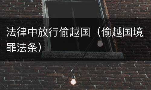 法律中放行偷越国（偷越国境罪法条）