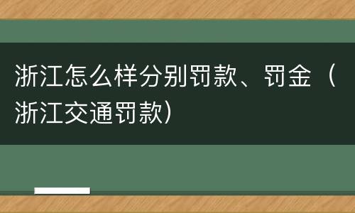 浙江怎么样分别罚款、罚金（浙江交通罚款）