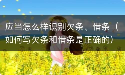 应当怎么样识别欠条、借条（如何写欠条和借条是正确的）