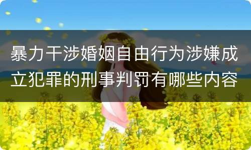 暴力干涉婚姻自由行为涉嫌成立犯罪的刑事判罚有哪些内容
