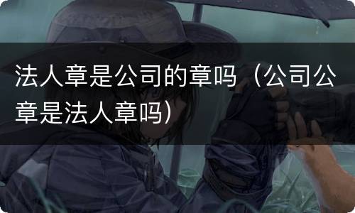 法人章是公司的章吗（公司公章是法人章吗）