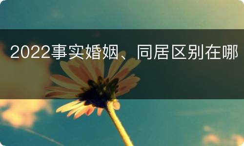 2022事实婚姻、同居区别在哪