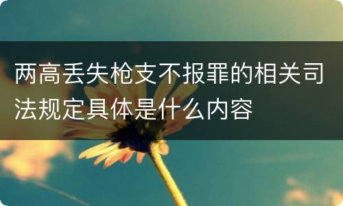 两高丢失枪支不报罪的相关司法规定具体是什么内容