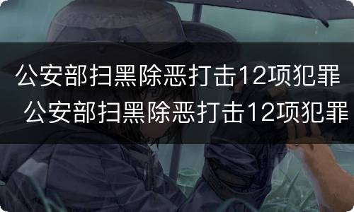 公安部扫黑除恶打击12项犯罪 公安部扫黑除恶打击12项犯罪工作