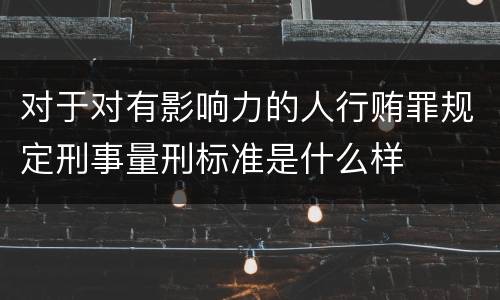 对于对有影响力的人行贿罪规定刑事量刑标准是什么样