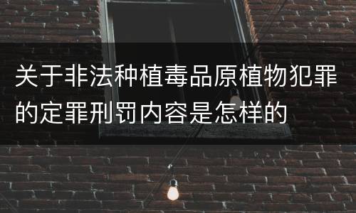 关于非法种植毒品原植物犯罪的定罪刑罚内容是怎样的