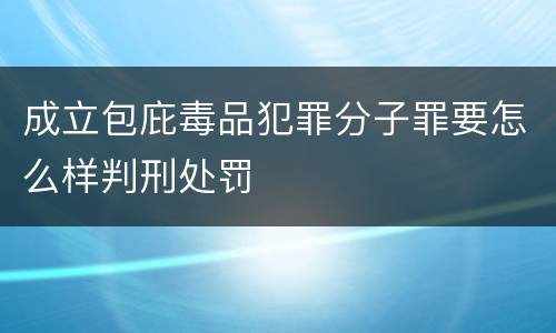 成立包庇毒品犯罪分子罪要怎么样判刑处罚
