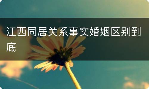 江西同居关系事实婚姻区别到底