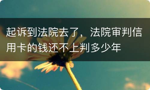 起诉到法院去了，法院审判信用卡的钱还不上判多少年