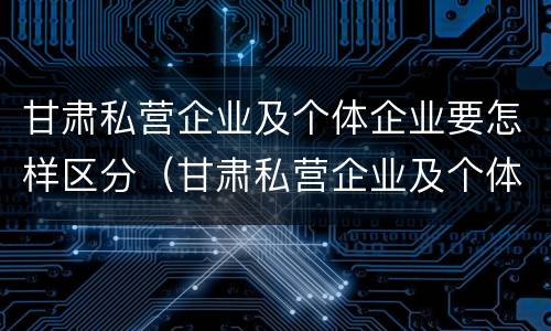甘肃私营企业及个体企业要怎样区分（甘肃私营企业及个体企业要怎样区分呢）