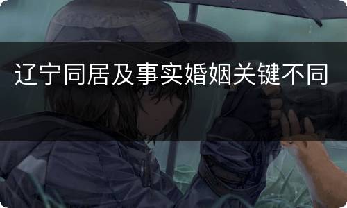 辽宁同居及事实婚姻关键不同